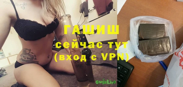 индика Арсеньев