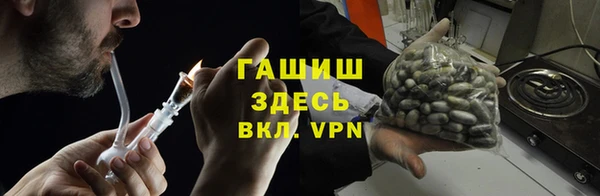 индика Арсеньев