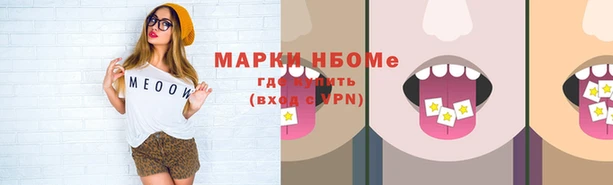 индика Арсеньев