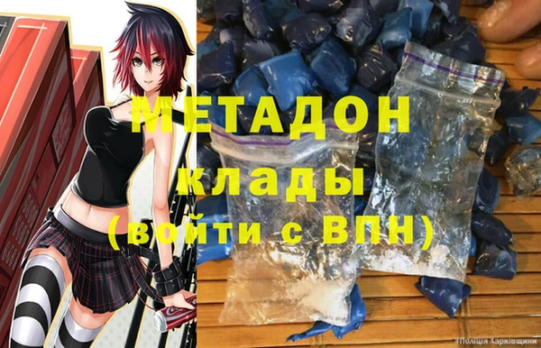 индика Арсеньев