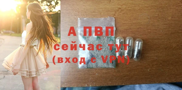 гашик Баксан