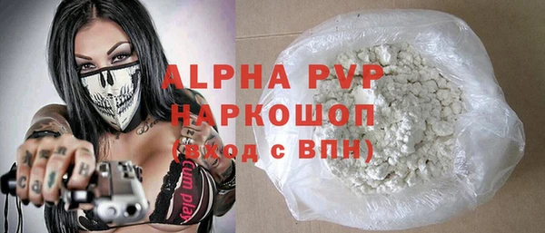 индика Арсеньев