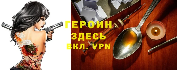 индика Арсеньев