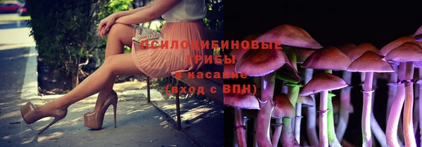 индика Арсеньев