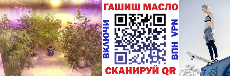 blacksprut ТОР  Сольвычегодск  Дистиллят ТГК гашишное масло 