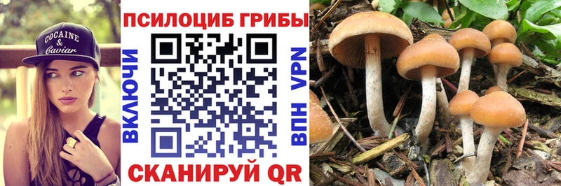 Псилоцибиновые грибы Cubensis  Сольвычегодск 